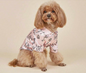 Print Shirt Home Clothes Suitable For Cats And Dogs Four Seasons