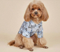 Print Shirt Home Clothes Suitable For Cats And Dogs Four Seasons