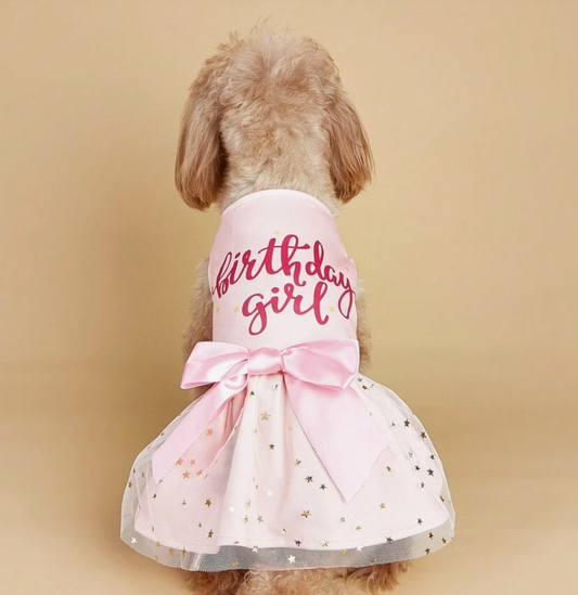 Birthday Bow Decor Pet Dress