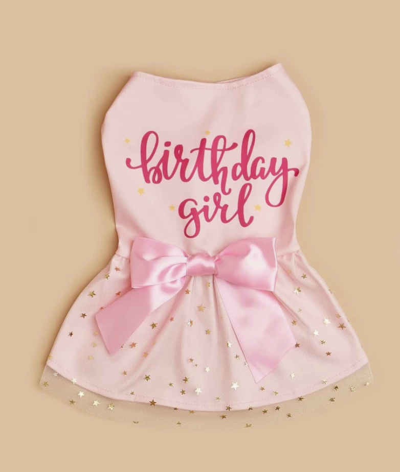 Birthday Bow Decor Pet Dress