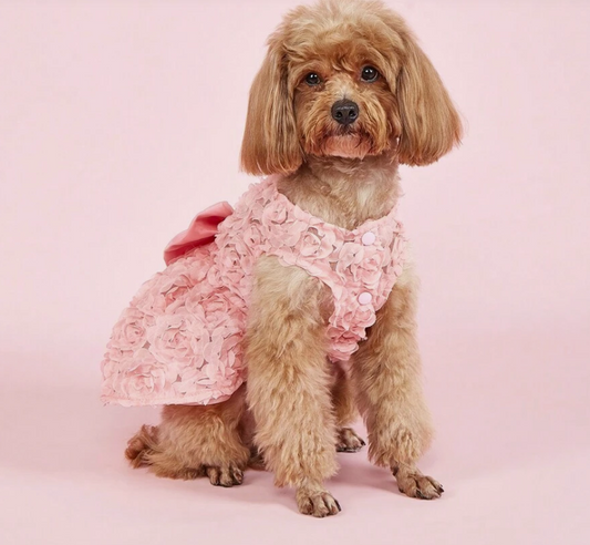 Sleeveless Rose Dress For Pets, Suitable For Cats And Dogs, For Wedding Parties, All Seasons