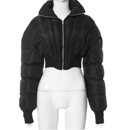 Winter Cropped Puffer Jacket