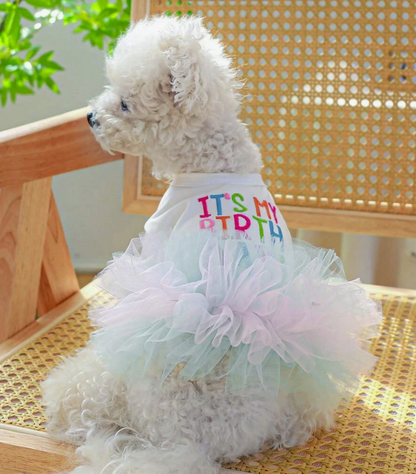 Pet Dress For Dog And Cat For Birthday